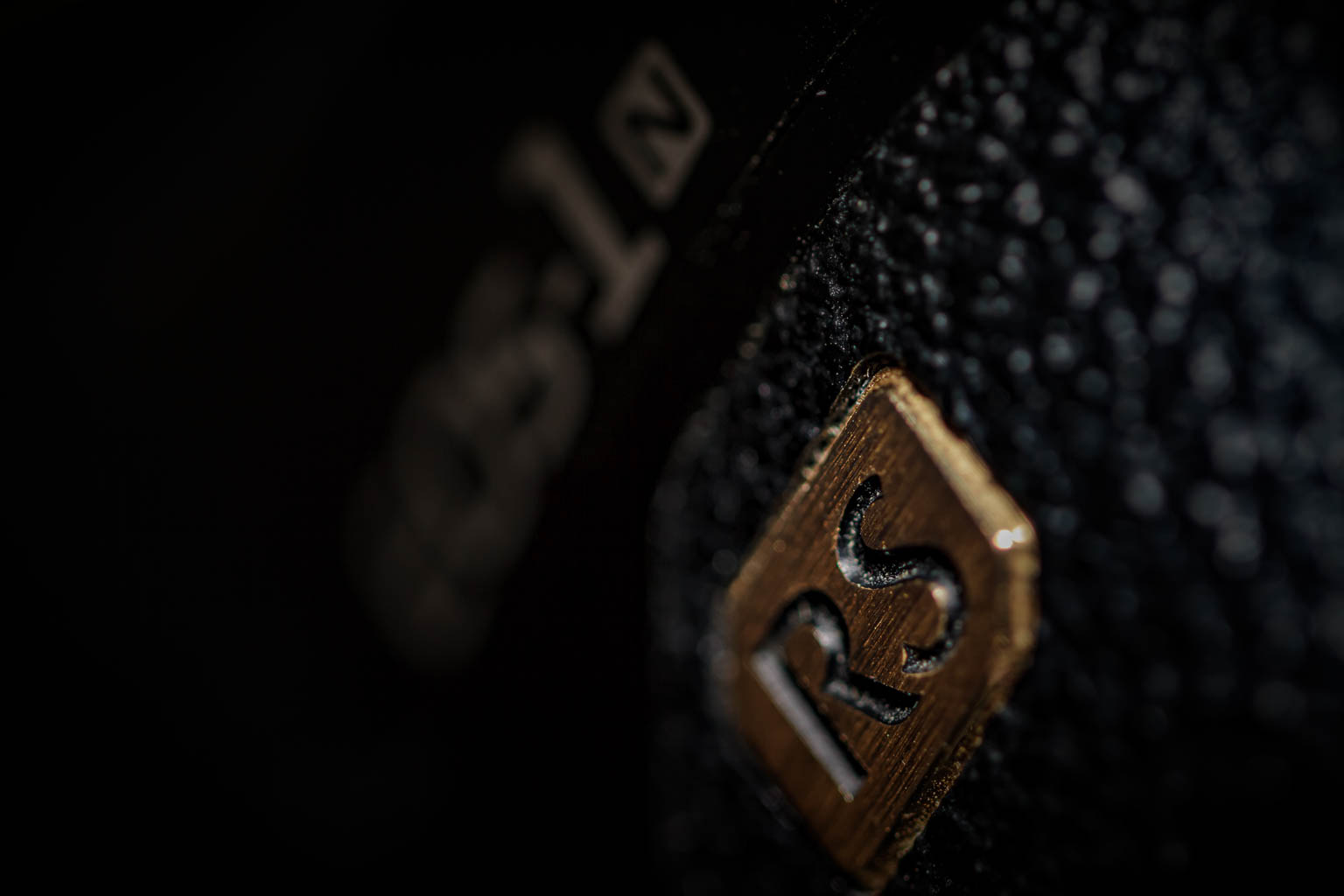 Canon EOS 1N-RS